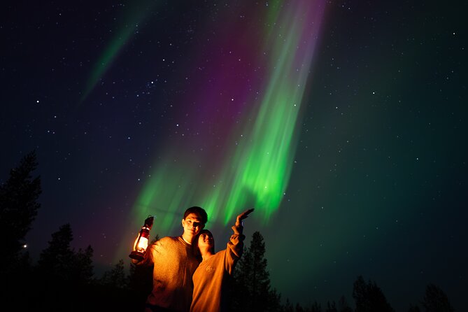 Rovaniemi: Northern Lights Small Group Money-Back Guarantee - Who should book this tour