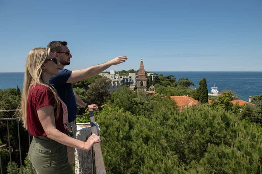 Rovinj: Luxury Island Hopping with Swimming & Snorkeling - Is $74 a fair price?