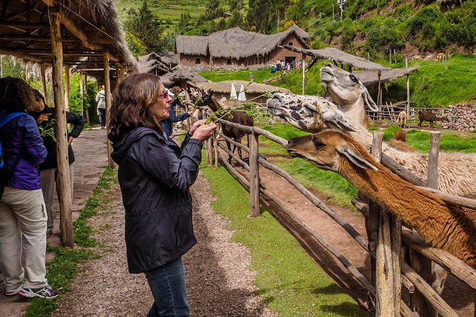 Sacred Valley and Machu Picchu Tour in 2 days with Peru Vip - The train to Aguas Calientes follows the sacred river
