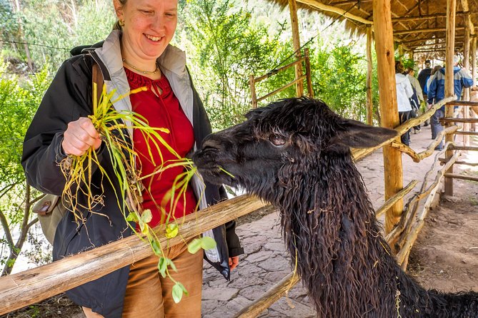 Sacred Valley and Machu Picchu Tour in 2 days with Peru Vip - Returning to Cusco takes most of the second day