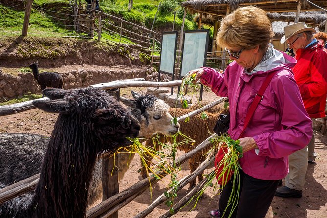 Sacred Valley and Machu Picchu Tour in 2 days with Peru Vip - What the $491.29 price really covers