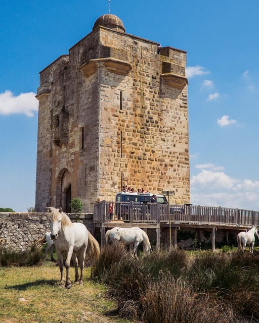 Safari 4x4 in Camargue / VIP Tour 3h30 / Grau du Roi - Visiting a Camargue manade