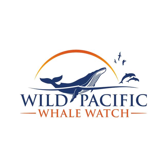 San Diego: Luxury Year-round Whale Watching & Dolphin Tour - Why the Peregrine Makes a Difference