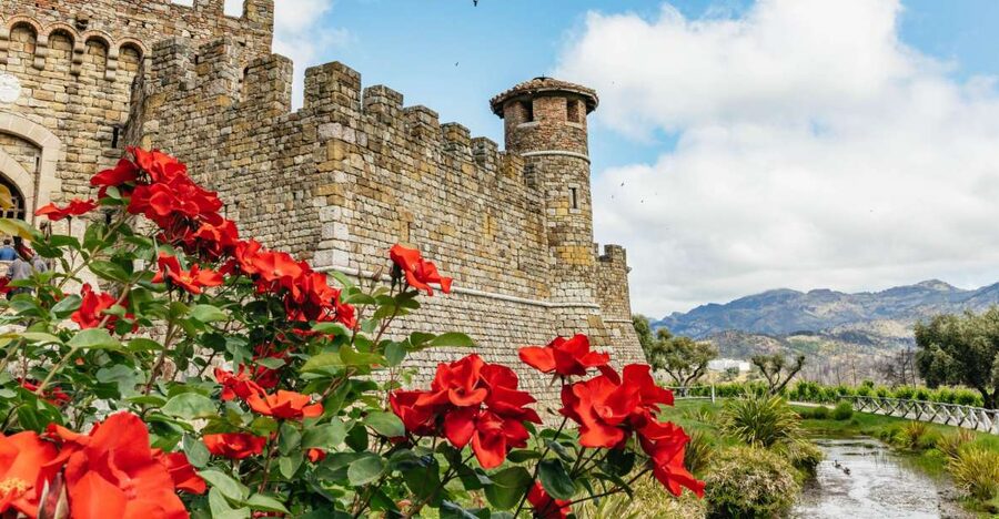 San Francisco: Luxury Small-Group Wine Tour of Napa Valley - Key points to know before you book