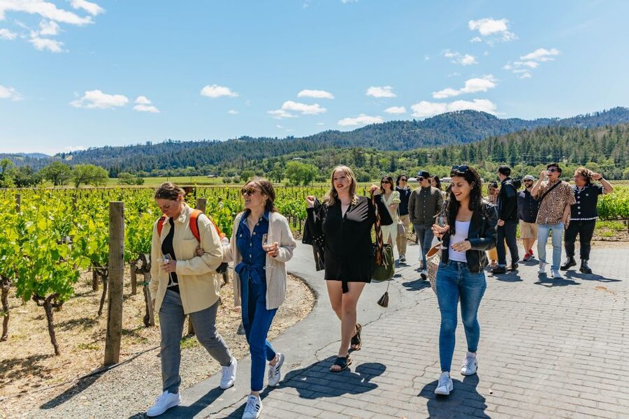 San Francisco: Luxury Small-Group Wine Tour of Napa Valley - Your guide shapes the day