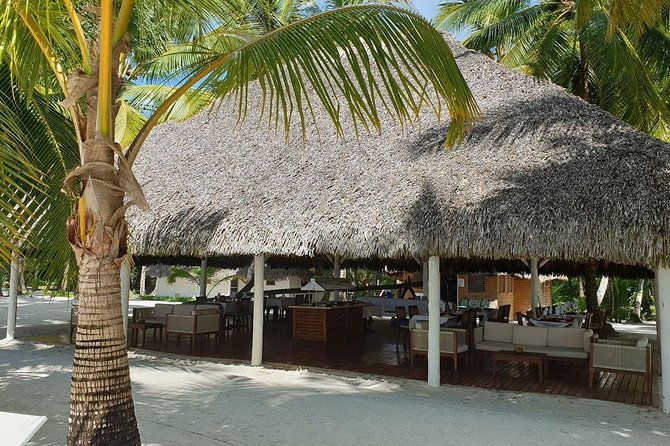Saona Island small group and relax - luxury catamaran - Who will enjoy this Saona day most?