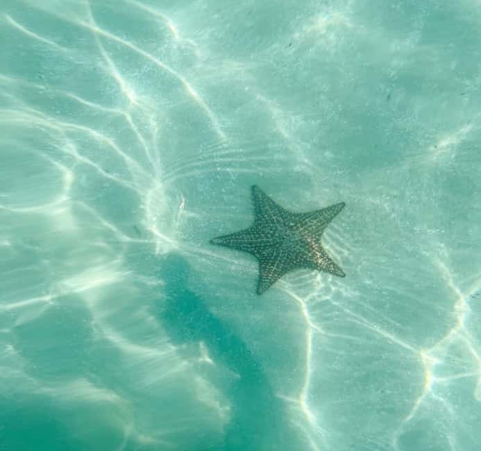 Saona Island VIP: 4 Beaches , Mano Juan & Canto de la Playa - From Punta Cana to Bayahibe by road