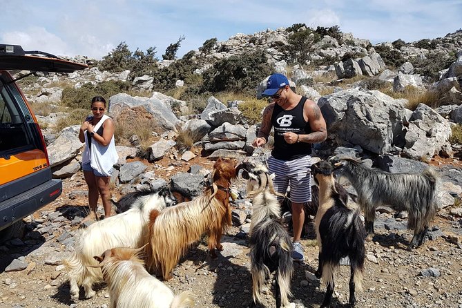 Sarakina Gorge, Kritza, Oliveoil Tasting, Mountains, South Coast - Lunch at a mountain taverna