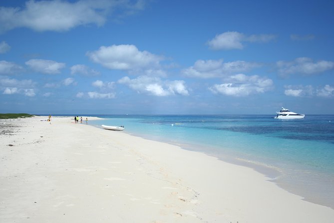 Seastar Luxury Outer Great Barrier Reef Island and Reef Tour - Hastings Reef brings a more classic outer reef setting