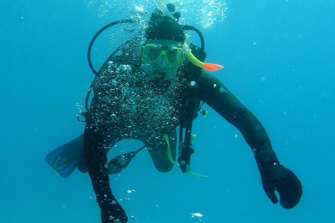 Seastar Luxury Outer Great Barrier Reef Island and Reef Tour - Guided snorkeling is the tour’s biggest strength