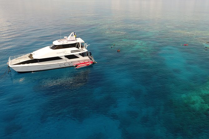 Seastar Luxury Outer Great Barrier Reef Island and Reef Tour - Lunch, tea, and equipment keep the day simple