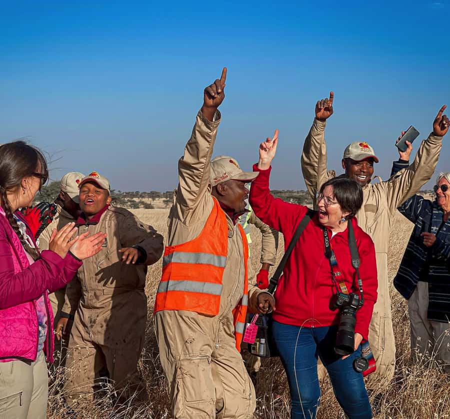 Serengeti Balloon Ride and Luxury Bush Breakfast - What the Serengeti looks like from a balloon