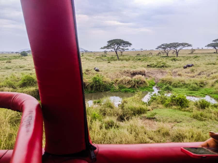 Serengeti Balloon Ride and Luxury Bush Breakfast - One hour above Serengeti Central
