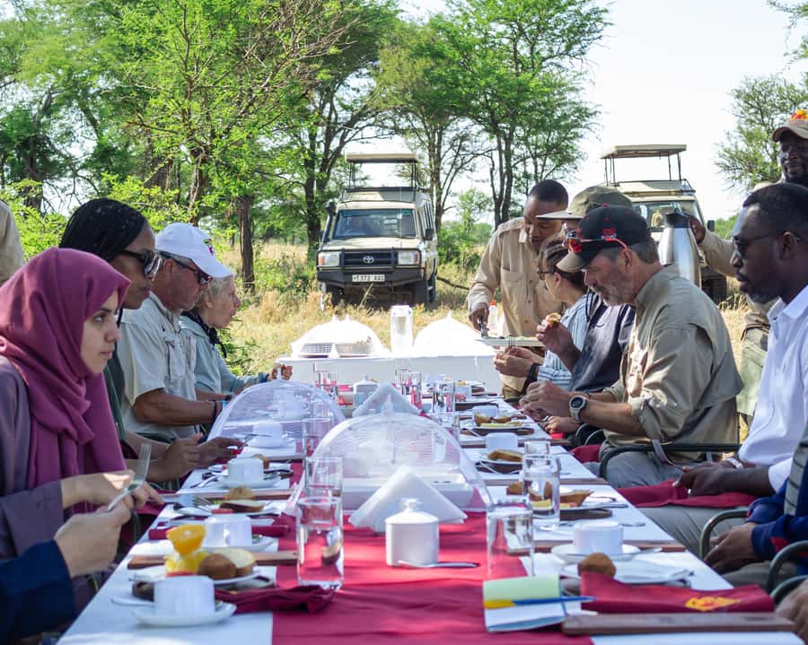 Serengeti Balloon Ride and Luxury Bush Breakfast - Is $550 good value?