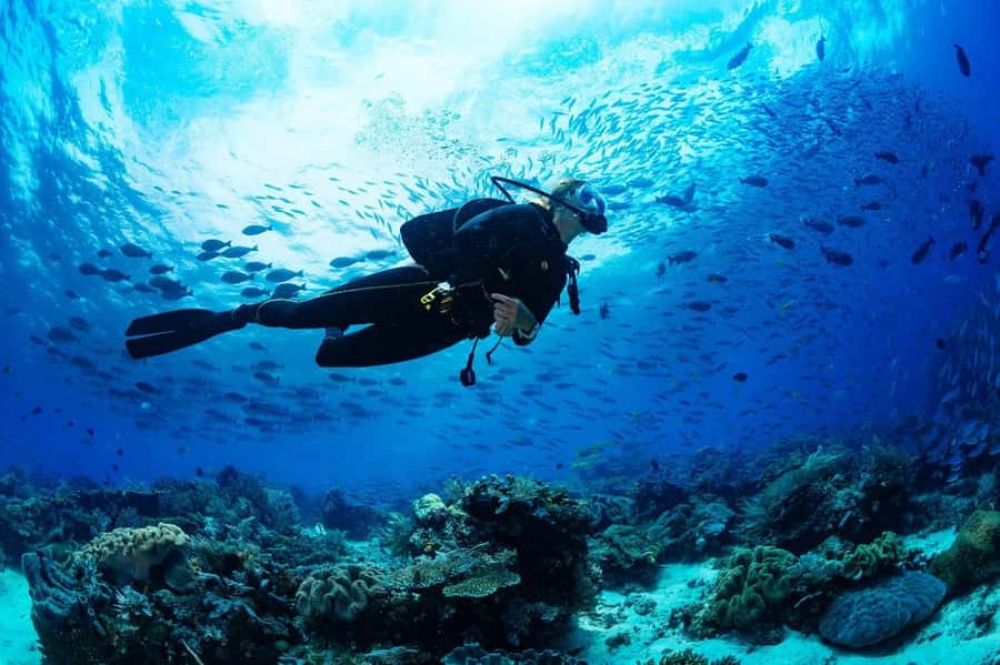 Sharm El Sheikh: Luxury boat Cruise with Snorkeling & Lunch - Practical tips for a better day