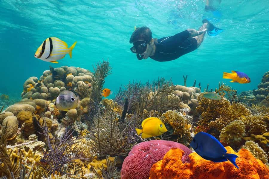 Sharm El Sheikh: Luxury boat Cruise with Snorkeling & Lunch - From Sharm El Sheikh to Watanya Marina