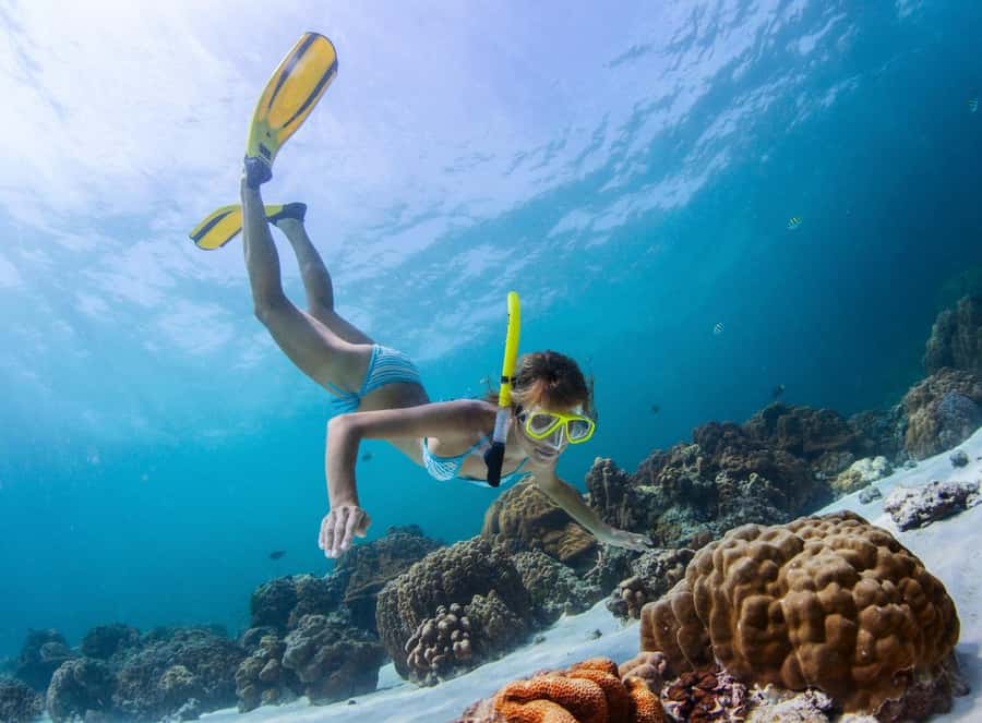 Sharm El Sheikh: Luxury boat Cruise with Snorkeling & Lunch - Lunch with a Red Sea view