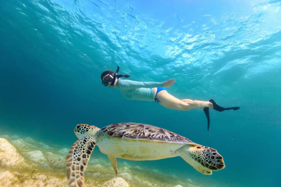 Sharm El Sheikh: Luxury boat Cruise with Snorkeling & Lunch - The second swim and the ride home