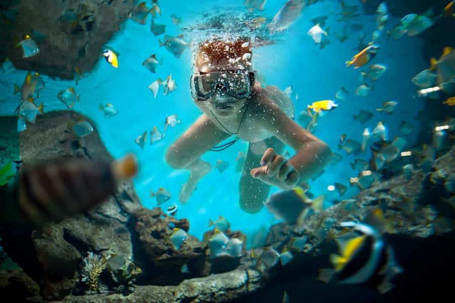 Sharm El Sheikh: Luxury boat Cruise with Snorkeling & Lunch - Who will enjoy this boat day