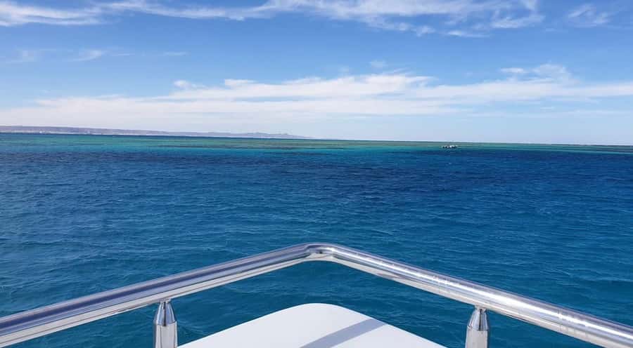 Sharm El-Sheikh: Luxury Ras Mohammed & White Island Cruise - The first snorkel stop: coral and fish with a guide beside you