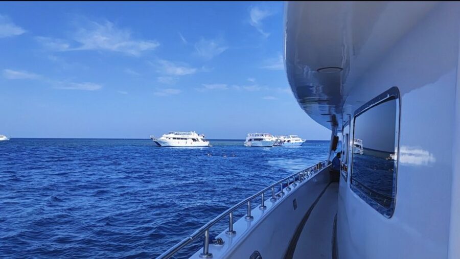 Sharm El-Sheikh: Luxury Ras Mohammed & White Island Cruise - White Island brings a different kind of Red Sea scenery