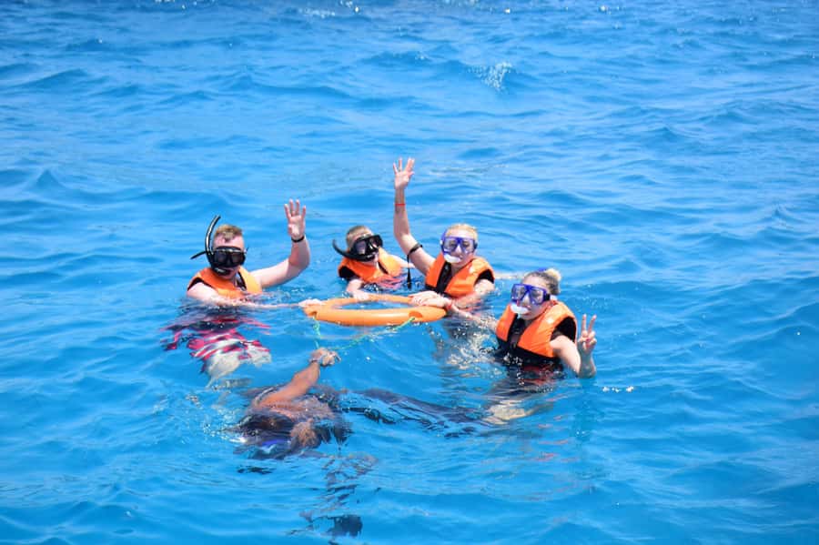 Sharm: Vip Snorkeling Cruise with international lunch - Key points at a glance
