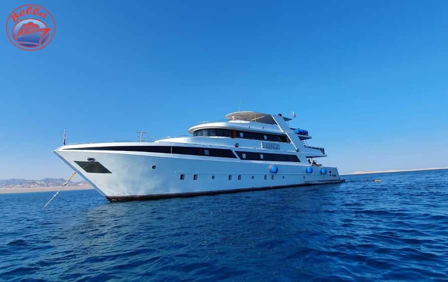 Sharm: Vip Snorkeling Cruise with international lunch - Lunch, drinks, and the food question