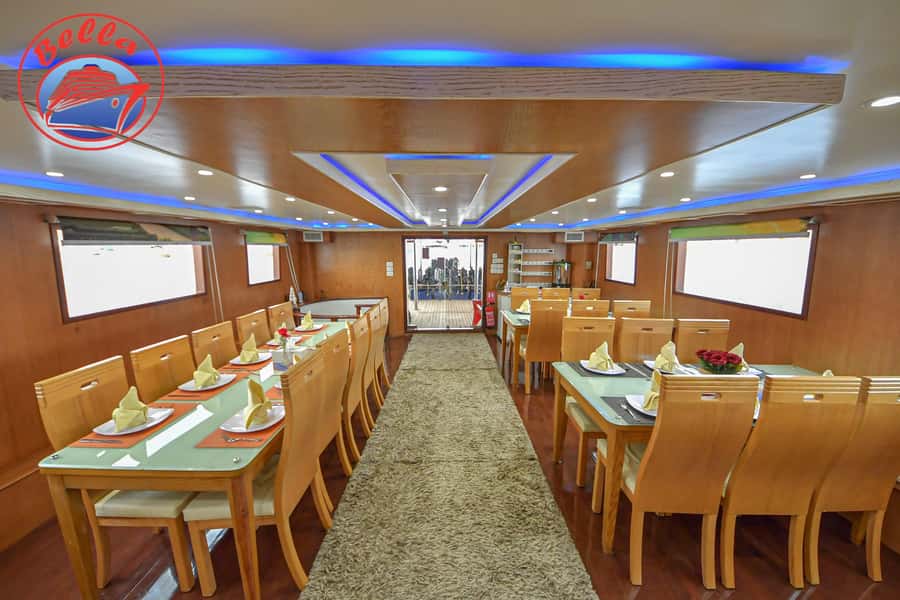 Sharm: Vip Snorkeling Cruise with international lunch - How much value do you get for $117?