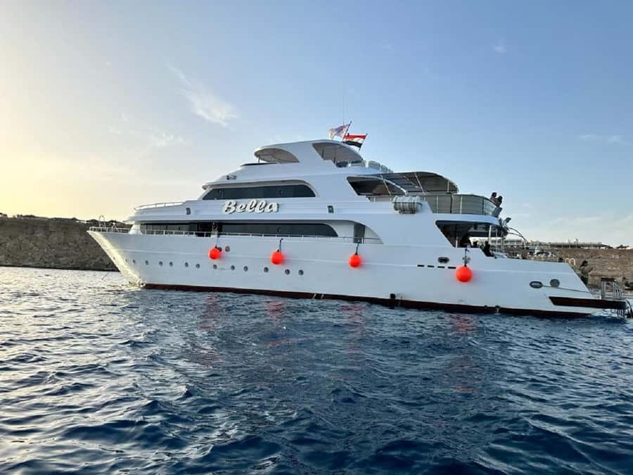Sharm: Vip Snorkeling Cruise with international lunch - From your Sharm hotel to the marina