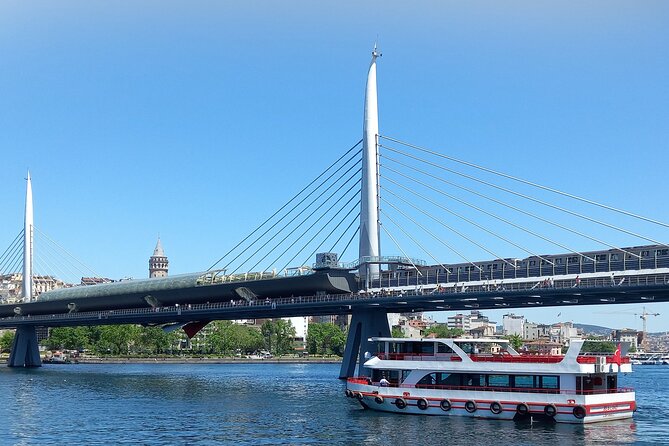 Short Bosphorus Cruise Tour With Hotel Pickup And Audio Guide - Who should book this cruise?
