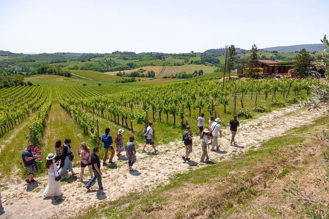 Siena and Chianti Wineries Excursion by Private Luxury Van from Florence - Badia a Passignano and the Tuscan hills