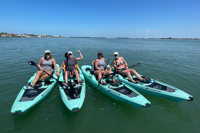 Single-Kayak Tour To Clearwater Island With Beach Setup Included! - Wildlife Along The Intracoastal Waterway