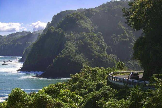 Small-Group Road to Hana Luxury Tour - Key things to know before you book