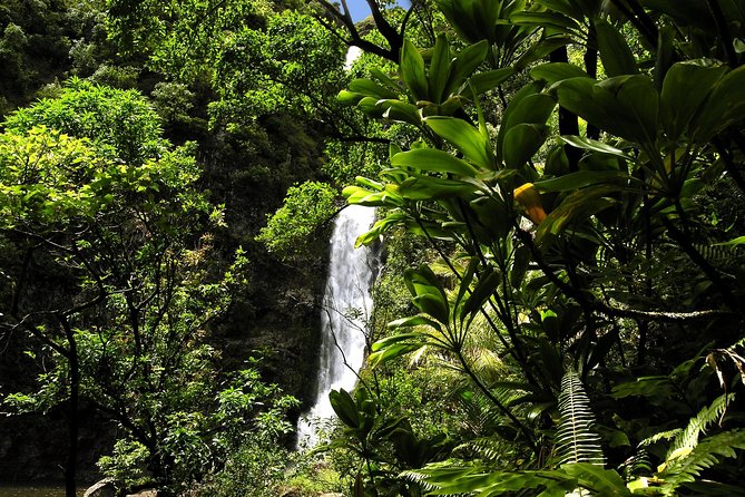 Small-Group Road to Hana Luxury Tour - Kaumahina State Wayside Park: a quick first view