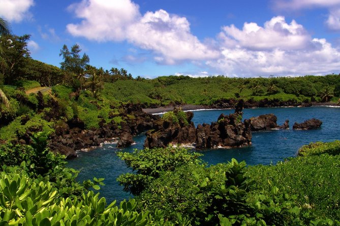 Small-Group Road to Hana Luxury Tour - Keʻanae Point: taro fields and rough Pacific water