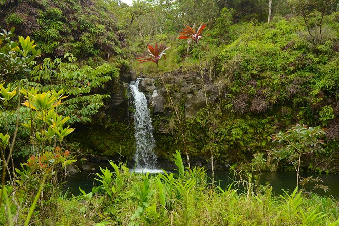 Small-Group Road to Hana Luxury Tour - Waiʻānapanapa State Park and its black sand shore
