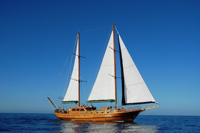 South Fuerteventura VIP Cruise on board a Turkish Gulet - Key points to know before you book