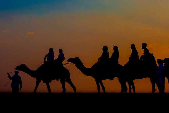 Sunset Camel Trekking with Falcon Show & VIP BBQ Dinner - What this six-hour Dubai desert tour is really like