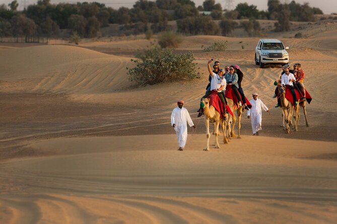 Sunset Camel Trekking with Falcon Show & VIP BBQ Dinner - The camel ride across the Arabian Desert