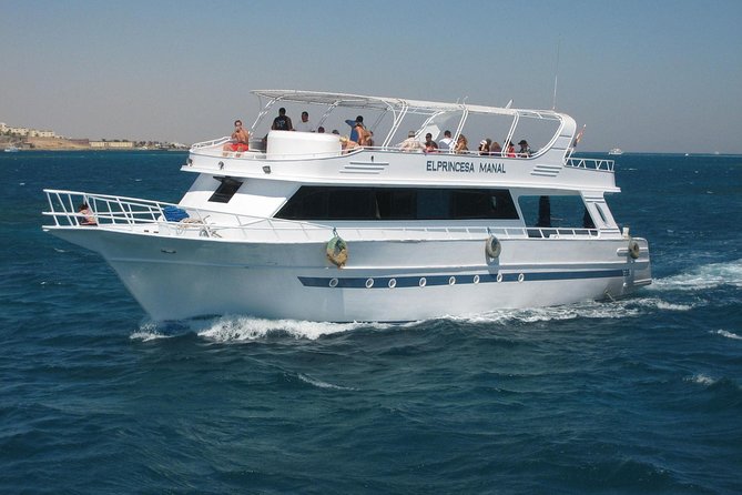 Swimming with Dolphin VIP Snorkeling Sea Trip With Lunch and Transfer - Hurghada - Optional Orange Bay stops and extra costs