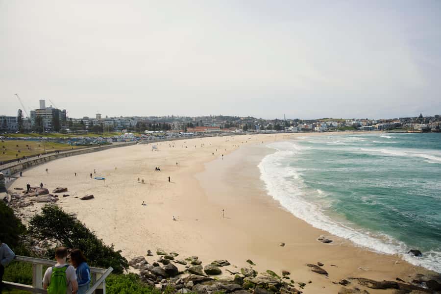 Sydney: City and Bondi Beach Private Luxury Half-Day Tour - Kings Cross, Double Bay, and Rose Bay