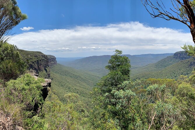 Sydney: Luxury Blue Mountains Adventure as a Small Group Day Tour - Leura gives you an hour to eat your way