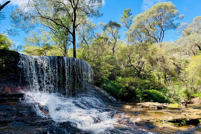 Sydney: Luxury Blue Mountains Adventure as a Small Group Day Tour - The transport and price: what are you buying?