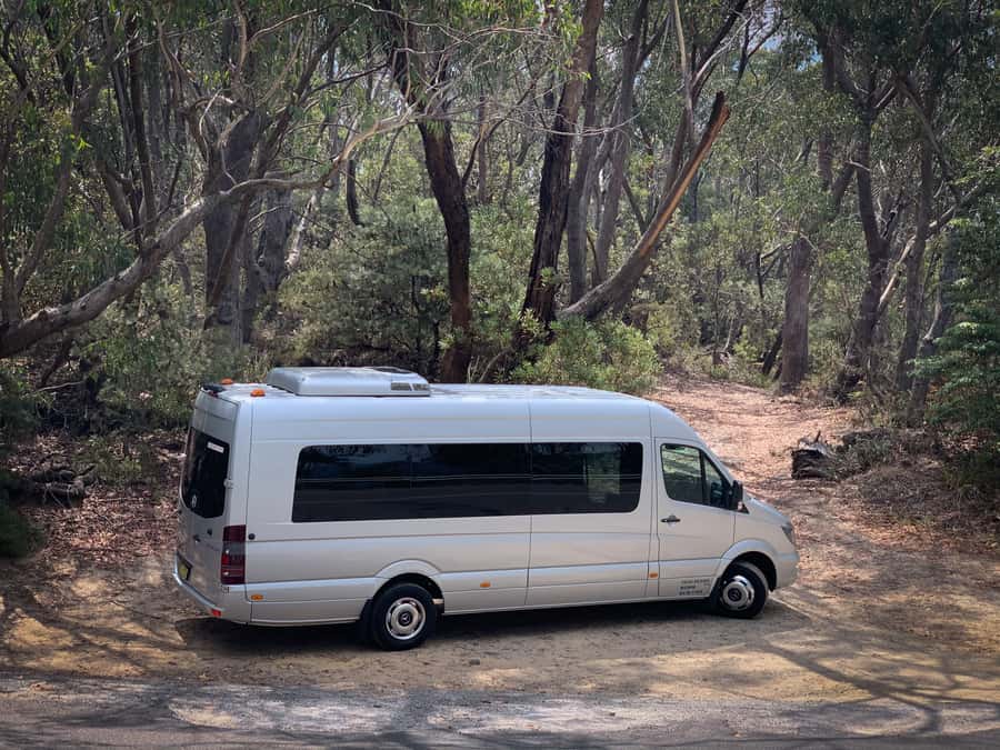 Sydney: Luxury Blue Mountains Adventure with Wentworth Falls - Is $194 a fair price?
