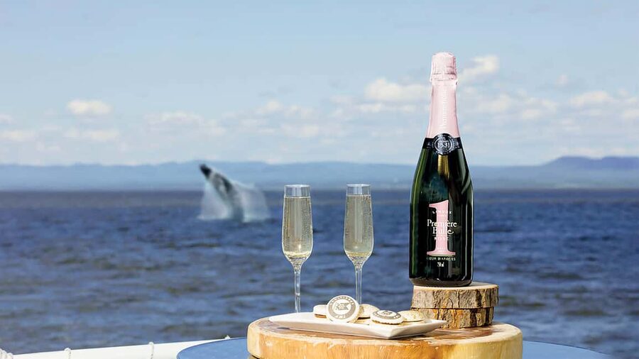 Tadoussac/Charlevoix: VIP Lounge OR UpperDeck Whale Watching - Upper Deck or Saint-Laurent VIP Lounge?