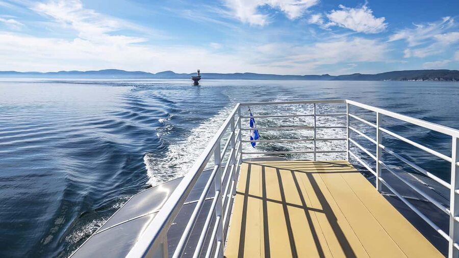 Tadoussac/Charlevoix: VIP Lounge OR UpperDeck Whale Watching - Practical details that can save you trouble