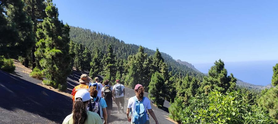 Tajogaite Volcano VIP Experience: Private Tour with a Certified Guide - What Is Included in the $352 Group Price
