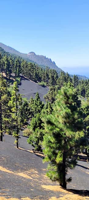 Tajogaite Volcano VIP Experience: Private Tour with a Certified Guide - How This Tour Compares With a Standard Volcano Excursion