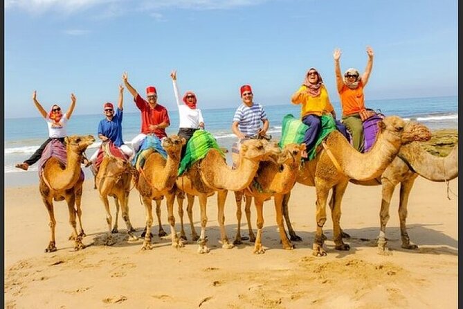 Tangier Luxury Private Guided Day Tour from Cadiz All Inclusive - Is $624.82 per person a fair price?