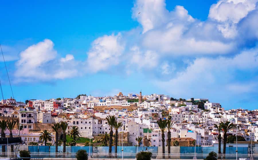 Tarifa: Day trip to Tangier by ferry with exclusive VIP service - The camel ride is short and a little staged